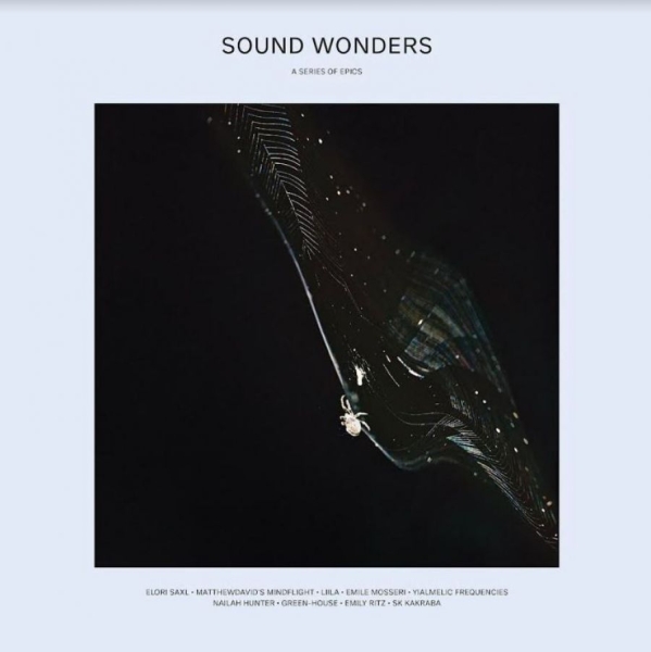 Various Artists - Sound Wonders i gruppen VINYL / Toppselgere hos Bengans Skivbutik AB (4056791)