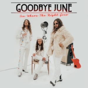 Goodbye June - See Where The Night Goes (Black Vin i gruppen VINYL / Metal,Pop-Rock hos Bengans Skivbutik AB (4057134)