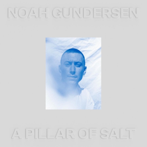 Gundersen Noah - A Pillar Of Salt (Clear Vinyl) i gruppen VINYL / Toppselgere hos Bengans Skivbutik AB (4060947)