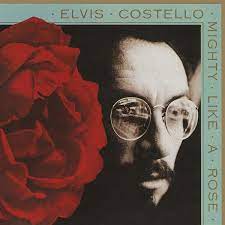 Elvis Costello - Mighty Like A Rose i gruppen CD / Pop-Rock,Annet hos Bengans Skivbutik AB (4070963)