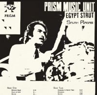 Ragab Salah & The Cairo Jazz Band - Egypt Strut i gruppen CD hos Bengans Skivbutik AB (4073163)