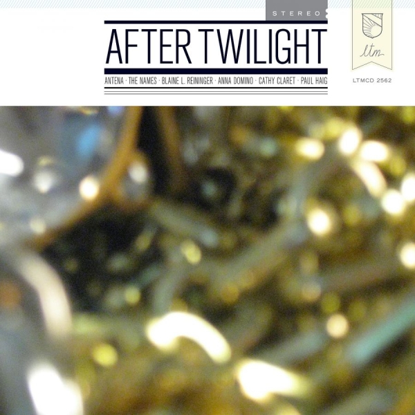 Various Artists - After Twilight i gruppen CD / Toppselgere hos Bengans Skivbutik AB (4073207)