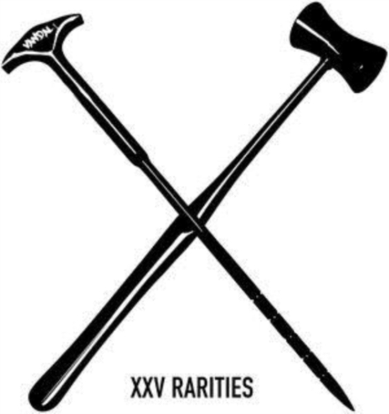 Vandal X - XXV Rarities i gruppen CD / Pop-Rock hos Bengans Skivbutik AB (4075038)
