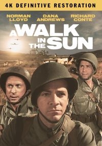 A Walk In The Sun: The Definitive R - Film (2Dvd) i gruppen DVD & BLU-RAY hos Bengans Skivbutik AB (4077103)