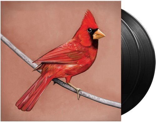 Alexisonfire - Old Crows / Young Cardinals i gruppen VINYL / Rock hos Bengans Skivbutik AB (4077175)