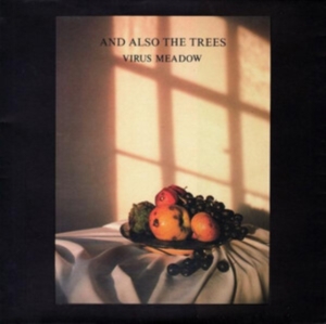 And Also The Trees - Virus Meadow i gruppen CD / Pop-Rock hos Bengans Skivbutik AB (4077301)