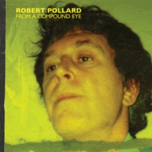 Pollard Robert - From A Compound Eye i gruppen VINYL hos Bengans Skivbutik AB (4078355)