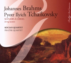 Brahms - Sextuor A Cordes i gruppen CD hos Bengans Skivbutik AB (4080397)
