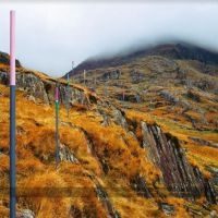 SECTION 25 - FROM THE HIP i gruppen VINYL hos Bengans Skivbutik AB (4092854)