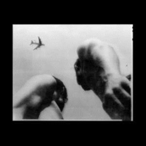 Adams Eve - Metal Bird i gruppen VINYL / Elektroniskt,Svensk FolkeMusikkk,World Music hos Bengans Skivbutik AB (4095131)