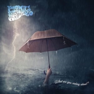 Cosmic Trip Advisors - What Are You Sinking About? i gruppen CD hos Bengans Skivbutik AB (4095163)
