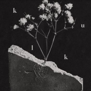 Kulk - We Spare Nothing i gruppen VINYL / Rock hos Bengans Skivbutik AB (4096321)