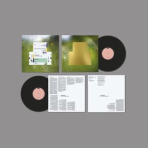Spiritualized - Everything Was Beautiful i gruppen VI TIPSER / Årsbestelistor 2022 / Uncut 22 hos Bengans Skivbutik AB (4096325)