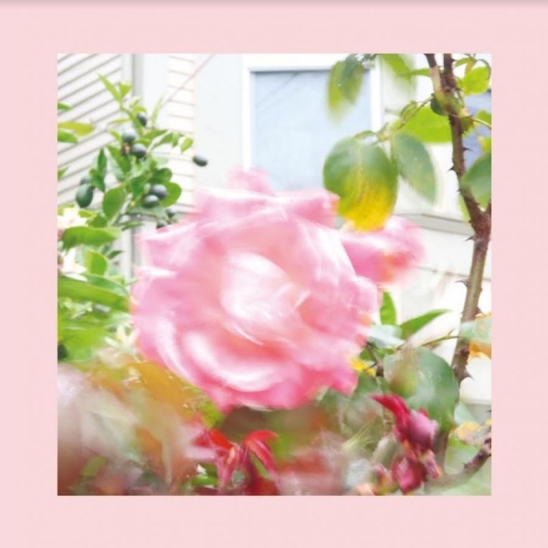 Reds Pinks And Purples (Green) - Summer At Land's End i gruppen VINYL / Toppselgere hos Bengans Skivbutik AB (4098088)