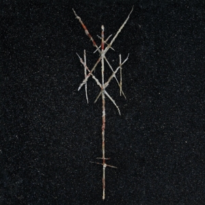 Wiegedood - There's Always Blood At The End Of The Road i gruppen VINYL / Metal hos Bengans Skivbutik AB (4101070)