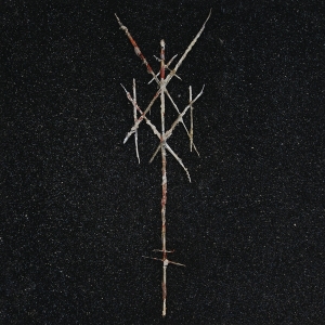 Wiegedood - There's Always Blood At The End Of The Road i gruppen VINYL / Metal hos Bengans Skivbutik AB (4101070)