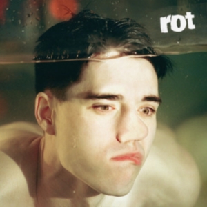 Tennyson - Rot i gruppen VINYL / Dance-Techno hos Bengans Skivbutik AB (4103403)