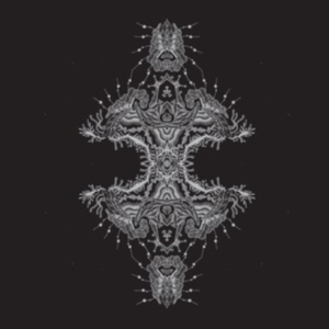 Pfirter - Altered States i gruppen VINYL / Pop-Rock hos Bengans Skivbutik AB (4108662)