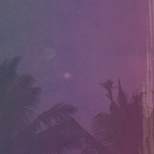 Ekca Liena - Skyward Vernacular i gruppen CD hos Bengans Skivbutik AB (4109239)