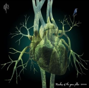 Rubashov Martin - Members Of The Green Phlox i gruppen VINYL hos Bengans Skivbutik AB (4112121)