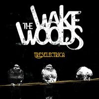 Wake Woods - Treselectrica i gruppen CD hos Bengans Skivbutik AB (4112163)