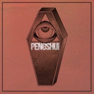 Pengshui - Destroy Yourself (Vinyl) i gruppen Annet /  hos Bengans Skivbutik AB (4115248)