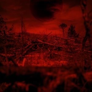 Monnik - Bitteroogst i gruppen VINYL hos Bengans Skivbutik AB (4117736)