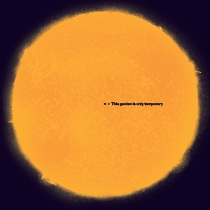 White Andy - This Garden Is Only Temporary i gruppen CD hos Bengans Skivbutik AB (4117807)