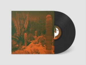 Knowler Cameron & Eli Winter - Anticipation i gruppen VINYL / Svensk FolkeMusikkk,World Music hos Bengans Skivbutik AB (4117907)