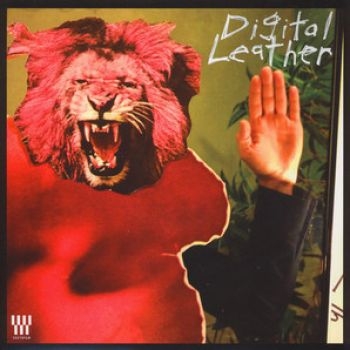 Hussy/Digital Leather - Split Lp i gruppen VINYL / Rock hos Bengans Skivbutik AB (4117916)