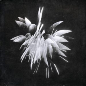 Windler Brent - New Morning Howl i gruppen VINYL hos Bengans Skivbutik AB (4119818)