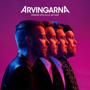 Arvingarna - Tänker Inte Alls Gå Hem (CD) i gruppen Minishops / Danseband hos Bengans Skivbutik AB (4128370)