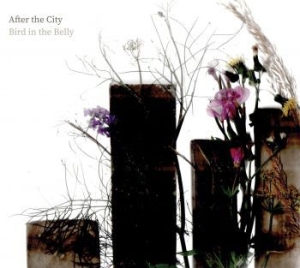 Bird In The Belly - After The City i gruppen CD hos Bengans Skivbutik AB (4128736)