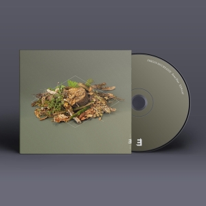 Fergus Mccreadie - Forest Floor i gruppen CD hos Bengans Skivbutik AB (4128784)