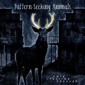 Pattern-Seeking Animals - Only Passing Through i gruppen VINYL / Metal,Pop-Rock hos Bengans Skivbutik AB (4132969)