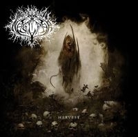 Nagelfar - Harvest i gruppen CD / Metal hos Bengans Skivbutik AB (4134571)