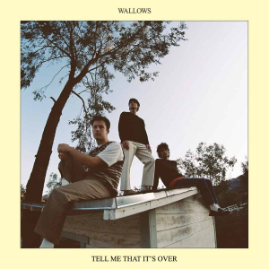 Wallows - Tell Me That It S Over i gruppen CD hos Bengans Skivbutik AB (4135242)