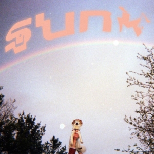 Babehoven - Sunk i gruppen CD hos Bengans Skivbutik AB (4139242)