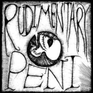 Rudimentary Peni - Rudimentary Peni i gruppen VINYL / Pop-Rock hos Bengans Skivbutik AB (4139585)