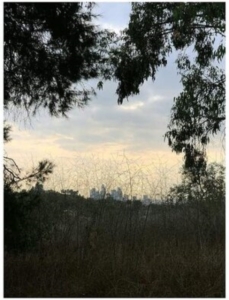 Porras Jon - Arroyo i gruppen VINYL / Pop-Rock hos Bengans Skivbutik AB (4139690)