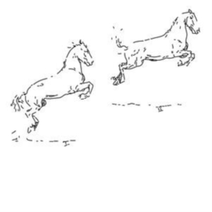 Hofmann Leo - Kapriole i gruppen VINYL / Pop-Rock hos Bengans Skivbutik AB (4143161)