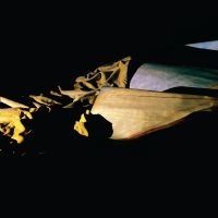 Holy Other - Lieve i gruppen VINYL / Toppselgere hos Bengans Skivbutik AB (4143346)