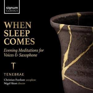 Traditional Hildegard Von Bingen - When Sleep Comes - Evening Meditati i gruppen Externt_Lager / Naxoslager hos Bengans Skivbutik AB (4145990)