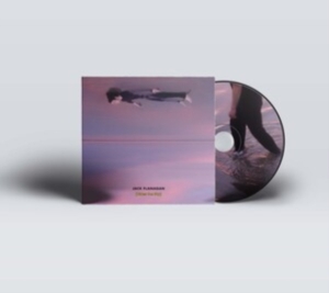 Flanagan Jake - Rides The Sky i gruppen CD hos Bengans Skivbutik AB (4147271)