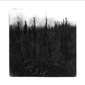 Bennet David & Vilhelm Bromander - Within Reach Of Eventuality i gruppen CD / Jazz/Blues hos Bengans Skivbutik AB (4147282)