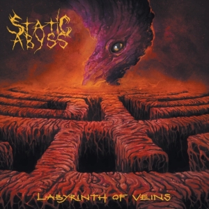 Static Abyss - Labyrinth Of Veins i gruppen VINYL hos Bengans Skivbutik AB (4147950)