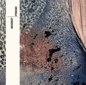 Modest - Friend i gruppen Annet / hos Bengans Skivbutik AB (4150695)