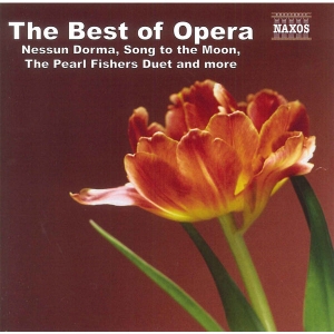 Various - The Best Of Opera i gruppen CD hos Bengans Skivbutik AB (4151219)
