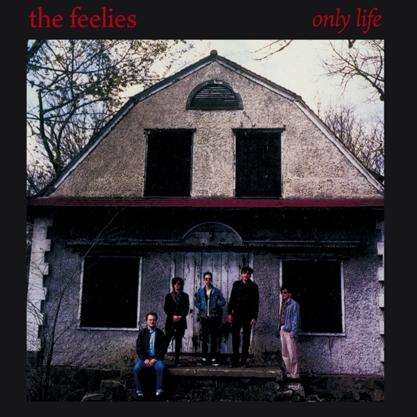 Feelies - Only Life i gruppen CD / Toppselgere hos Bengans Skivbutik AB (4154537)