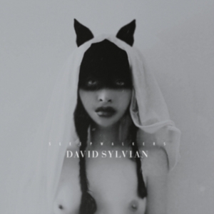 David Sylvian - Sleepwalkers i gruppen VINYL / Pop-Rock hos Bengans Skivbutik AB (4156299)